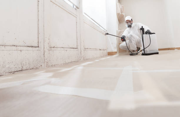 24/7 Emergency Mold Remediation experts in Old Hickory, TN