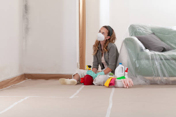Reliable Mold Remediation contractor in Old Hickory, TN by WQB Mold Removal